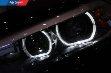 BMW Seria 5 G30-G31 Limuzyna 520i 184KM 2020 BMW Seria 5 520iFV23LED Fog lightsFotel SportowySport Line 2.0 Benzyna, zdjęcie 20