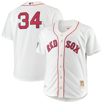 koszulka baseballowa David Ortiz Boston Red Sox