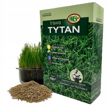 TRAWA NASIONA Tytan bardzo Trudne Gleby Suche OGRODOWA 1kg
