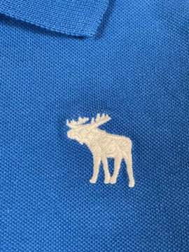 Abercrombie Kids Polo Dziecięce Niebieskie Gładkie Logo Unikat 13Y 14Y