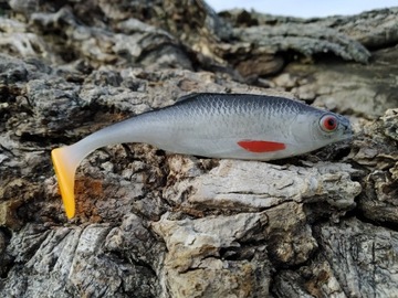 SEWRO CUSTOM PŁOĆ 10cm kopyto