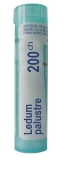 BOIRON Ledum Palustre 200 CH granulki 4g