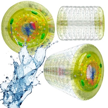 WALEC WODNY WATER ROLLER 2,5 M DO BASENU