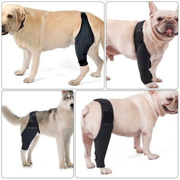 Передний коленный бандаж для домашних животных для собак