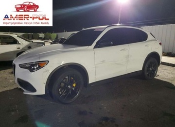 Alfa Romeo Stelvio 2020 Alfa Romeo Stelvio 2020 2.0l 2.0 Benzyna 280KM