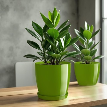 ЦВЕТОЧНЫЙ ГОРШОК С ПОДСТАВКОЙ ПЛАСТИКОВАЯ КРЫШКА ЦВЕТОЧНЫЙ ВАЗ 16см ЗЕЛЕНЫЙ ДЛЯ ЦВЕТОВ KADAX