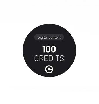 100 Kredytów do aplikacji OBDEleven 100 Credits