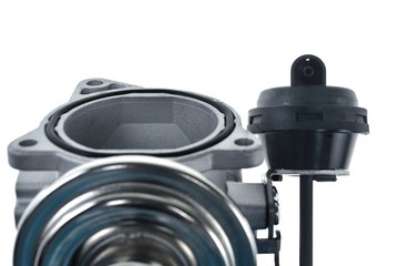 Клапан рециркуляции ОГ VAG NTY NTY EGR-AU-001