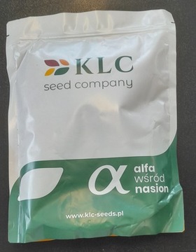 KONICZYNA ŁAKOWA CZERWONA VIOLA nasiona koniczyny trawy na paszę poplon 1kg