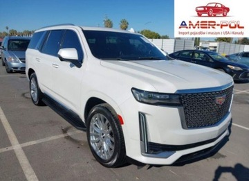 Cadillac Escalade III 2021 Cadillac Escalade Premium Luxury 2021 6.2l 6.2 Benzyna 420KM