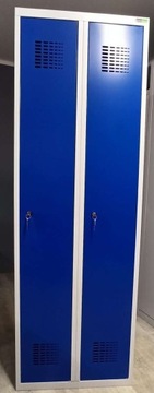 Шкаф платяной 2 отделения 180х60х50 СУМ 320вт КРАСКА