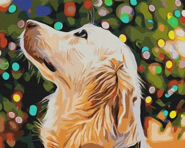 Malowanie po numerach golden retriever pies paint