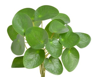 GAŁĄZKA OZDOBNA ROŚLINA SZTUCZNA PIENIĄŻEK PILEA