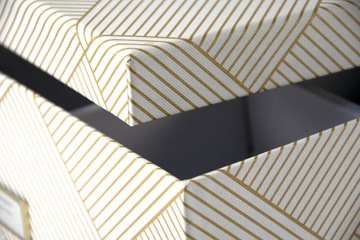 БОЛЬШОЙ ЭКО-ОРГАНИЗАТОР ПРЕМИУМ ДЛЯ БЕЛЬЯ ЗАВЯЗКИ НОСКИ 12 ОТДЕЛЕНИЙ SE