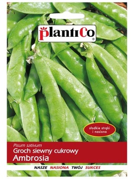 GROCH CUKROWY AMBROSIA 40G PLANTICO