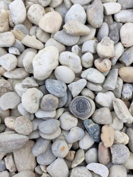 LAS W SŁOIKU OTOCZAK MIX MIODOWY RZECZNY 0,5 KG