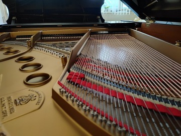 Рояль Steinway & Sons модель М после капитального ремонта!