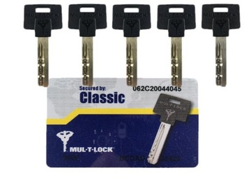 Вставка для дверной ручки Witex 33/43G Mul T Lock