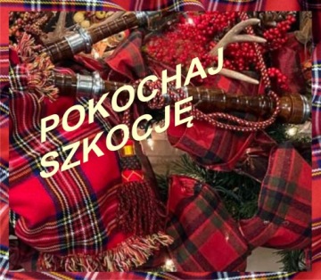 ШОТЛАНДСКИЙ ШАРФ СРЕДНЕГО РАЗМЕРА ТАРТАН УНИСЕКС 25/160 см