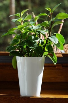 ЦВЕТОЧНЫЙ ГОРШОК GLOSS BLACK GARDEN SLIM INSERT