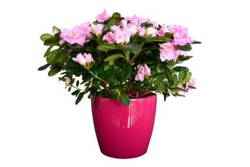 Крышка для вазона 15см Глянцевая 25 цветов серо-черный