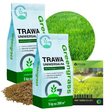 TRAWA NASIONA Uniwersalna Samozagęszczająca Wieloletni Trawnik Odporna 10kg
