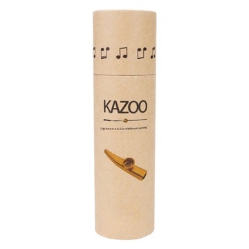 МУЗЫКАЛЬНЫЕ ИНСТРУМЕНТЫ KAZOOS ДЛЯ НАЧИНАЮЩИХ ДЕТСКИЙ ФЛОТ