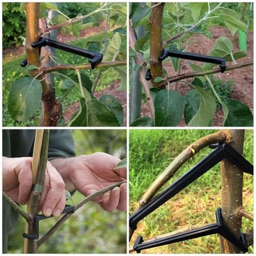 ИНСТРУМЕНТ В ФОРМЕ ВЕТКИ, КРОНШТЕЙН ПЛОДОВОГО ДЕРЕВА