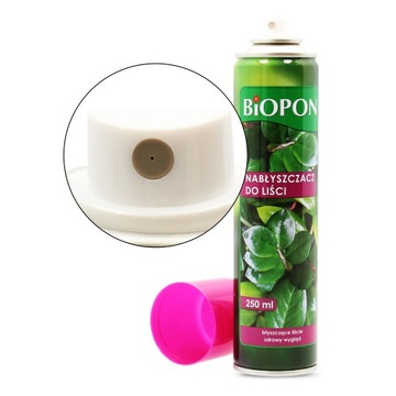 PLANT FLOWER LEAF GLOSSEN 250мл Букет Спрей GLOSS Полировка