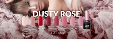 НАБОР CLARESA DUSTY ROSE КОЛЛЕКЦИЯ ВЕСЬ РОЗА PASTEL ROSES RED