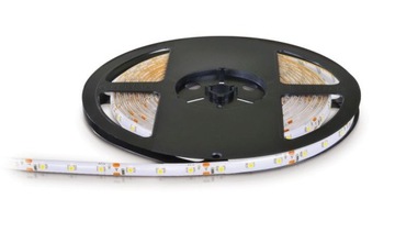 ECOLIGHT Taśma 300LED SDM3528 24W 5m IP63 5m żółta