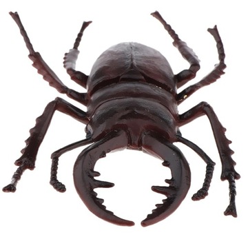 Моделирование насекомых Рисунок Модель Высокий песчаный червь