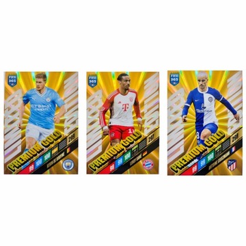 ФУТБОЛЬНЫЕ КАРТОЧКИ PANINI FIFA 365 2024 CAN PREMIUM GOLD ADRENALYN XL