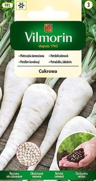 Pietruszka korzeniowa Cukrowa wczesna 100g