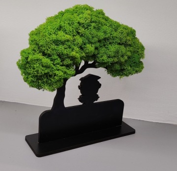 Бонсай, дерево, мох, 3D, стоящий конец года, леди, сова, гравер, зеркало Доу