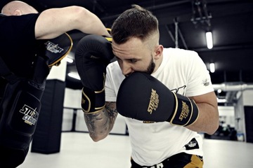 Боксерские перчатки StormCloud Boxing Pro, черные/золотые, 16 унций