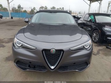 Alfa Romeo Stelvio 2020 Alfa Romeo Stelvio 2020 r., 2,0L RWD 2.0 Benzyna 280KM, zdjęcie 1