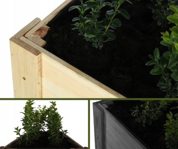 Гербарий, травник на ножках, вазон, высокая грядка, осмотр, огород, 80х34см