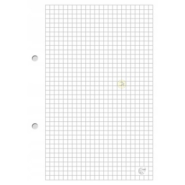 WKŁAD DO SEGREGATORA A5 100 KARTEK INTERDRUK