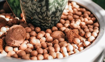 САДОВОДСТВО LCA дренажные гранулы для грунта 50л