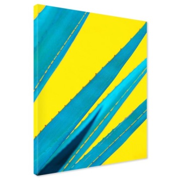 Obraz na płótnie aloes liście 80x120