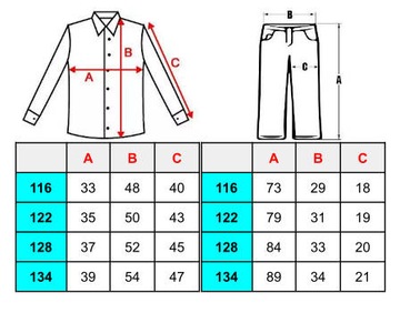 ЭЛЕГАНТНЫЙ НАБОР ИЗ 4 ПРЕДМЕТОВ С ГАЛСТУКОМ-БАБОЧКОЙ 134