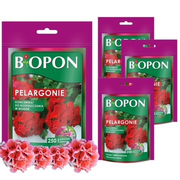 BOPON Nawóz Koncentrat Do Pelargonii Długie i Obfite Kwitnienie350 g x 4