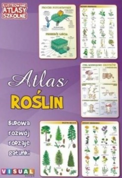 Atlas roślin. Visual System