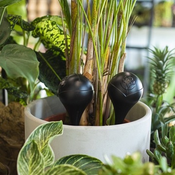 KULE NAWADNIAJĄCE NAWADNIACZ DO PODLEWANIA DONICZKI 4szt KOREK CZARNE 400ml