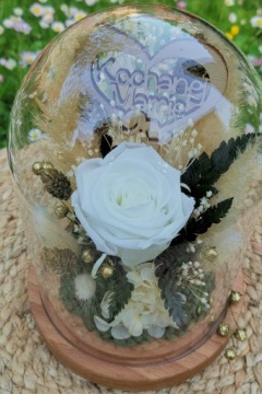 Настоящая вечная роза в стекле У НАС ЕСТЬ ПОДАРОК.