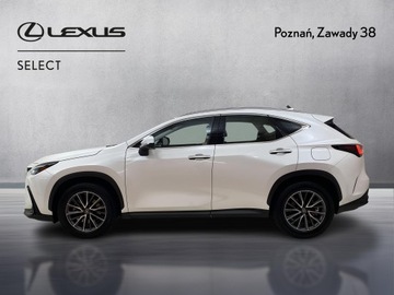 Lexus NX II SUV 350h 242KM 2023 Lexus NX 350h Elegance AWD II (2021-) Lexus NX 350, zdjęcie 4