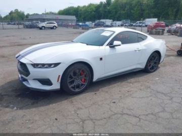 Ford Mustang VI 2024 Ford Mustang Ecoboost Premium Fastback 2024 2.3l 2.3 Benzyna 315KM, zdjęcie 1