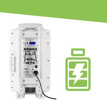 Мобильная аудиосистема Порт 700 Вт BT USB 2 микрофона