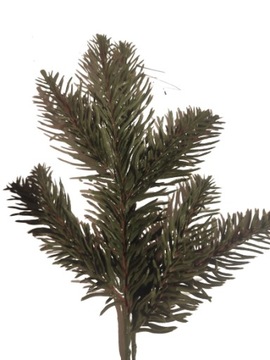 Gałązka świerkowa choinka świerk stroik 28 cm